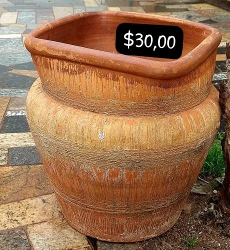 Vasos de plantas