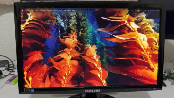 Monitor Samsung 19 polegadas LCD LED