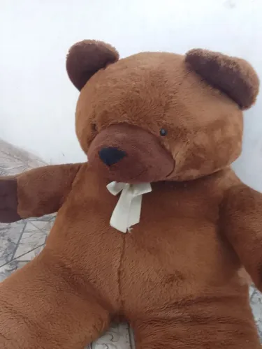 urso gigantes