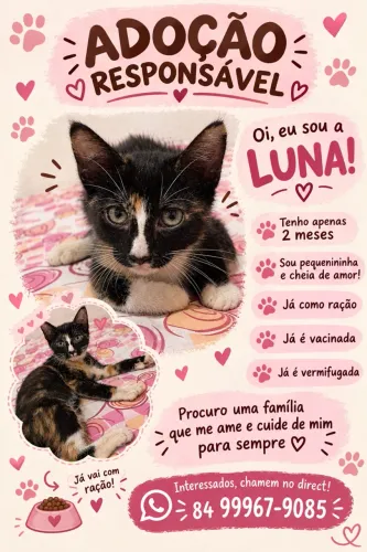 adoção