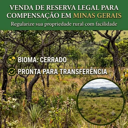 COMPENSAÇÃO DE RESERVA LEGAL BIOMA CERRADO MG