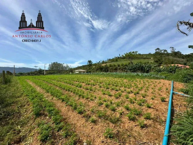 Terreno à venda no bairro Guiomar - Antônio Carlos/SC