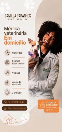 Veterinária em domicílio