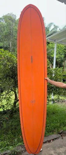 Longboard LUFI ONE PEACE