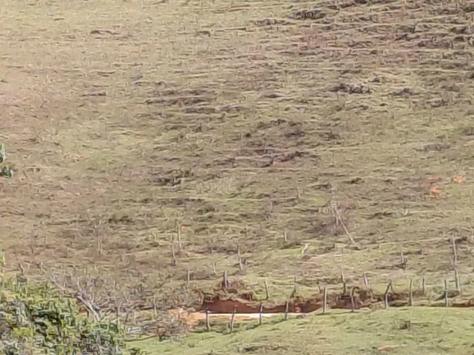 ? Área Rural de 5,7 Hectares em Santa Leopoldina ? Natureza, Tranquilidade e Investimento