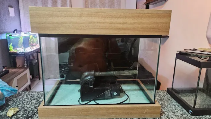 Aquário 50L com filtro. 