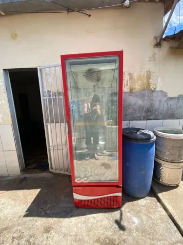 Refrigerador Expositor Metalfrio 378L