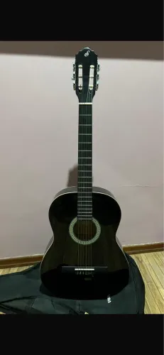 VIOLAO PARA INICIANTES 