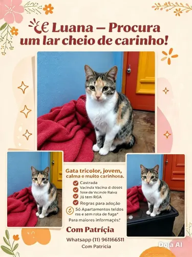 Luana adoção responsàvel