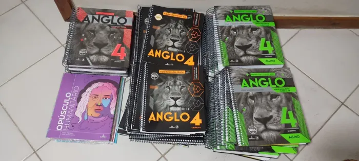 Vendo Módulos Anglo 3° Ano EM 2025 Completos