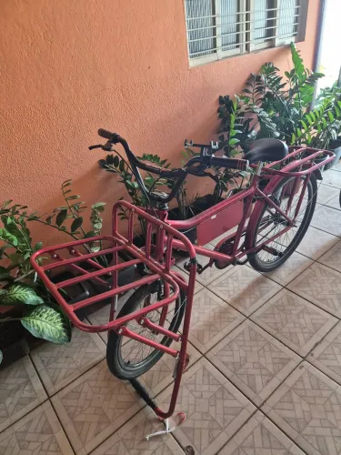 Bicicleta cargueira 