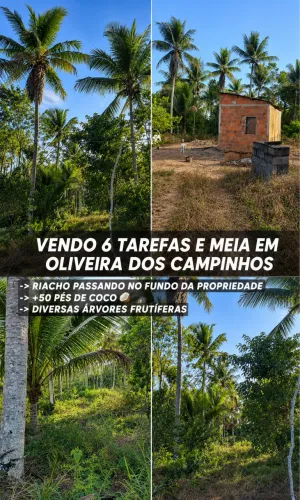 ? SÍTIO À VENDA - OLIVEIRA DOS CAMPINHOS ?