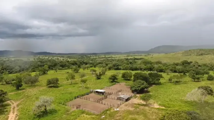 FAZENDA JOMA | PEIXE TO