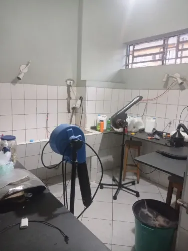 Banho e tosa completo por R$5.500,00