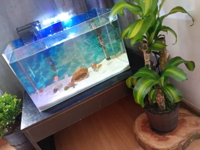 Aquário OceanTech 50 Litros (Só o Vidro) - Preço Imperdível!