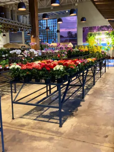 Expositor ideal para plantas - 60x275x90