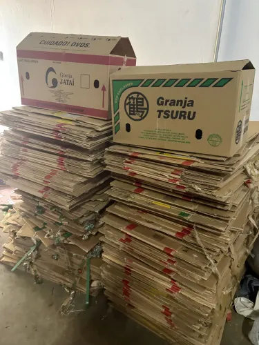 Caixa de papelão de embalagem de ovo