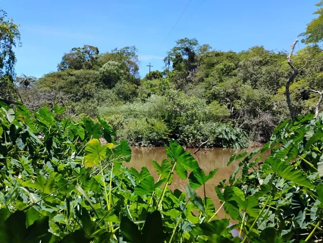 Terreno  12 hectares em Nova União 