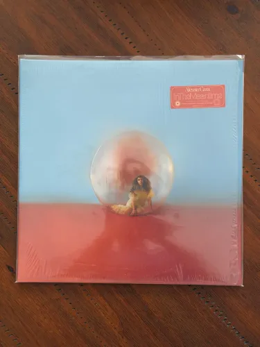 LP Alessia Cara In The Meantime