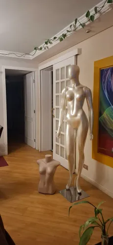 Vendo manequim corpo inteiro e busto