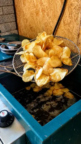 MÁQUINA PARA FABRICAÇÃO DE BATATA CHIPS - ELÉTRICA E A GÁS
