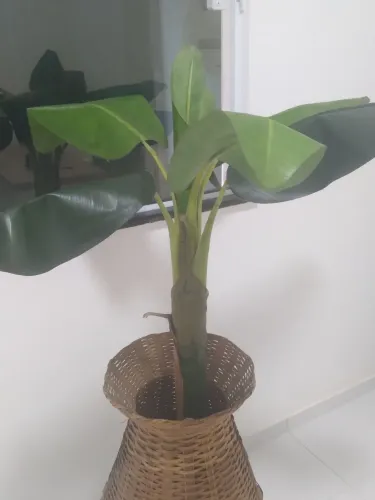Planta Bananeira Artificial com jarro