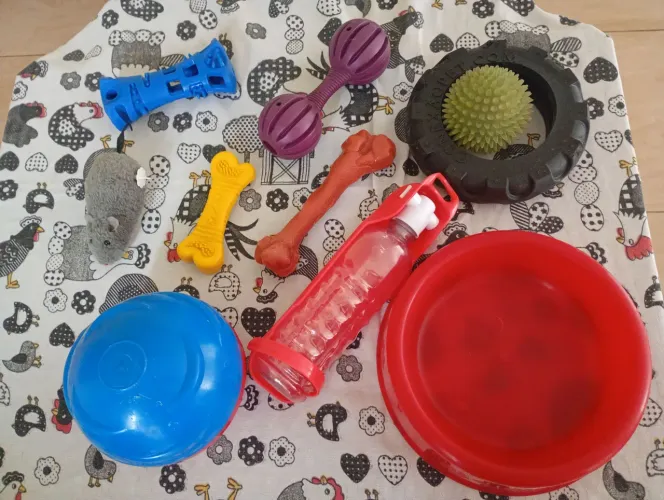 Kit pet 10 produtos