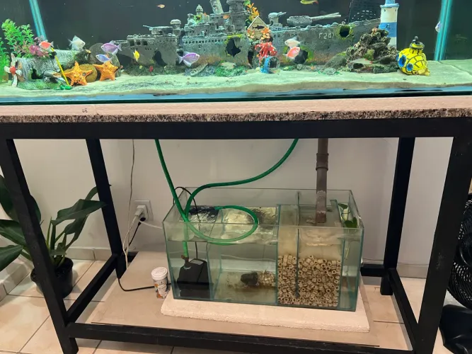 Aquário 1,30 X 0,50 X 0,50
