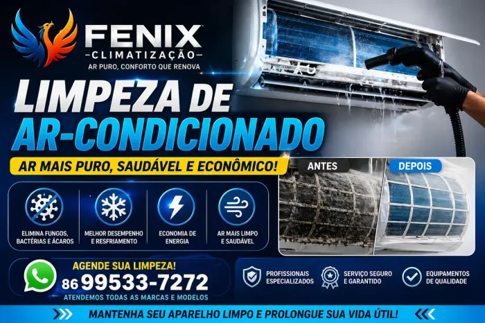 Limpeza de Ar-Condicionado Profissional | Higienização Completa | Fênix Climatização