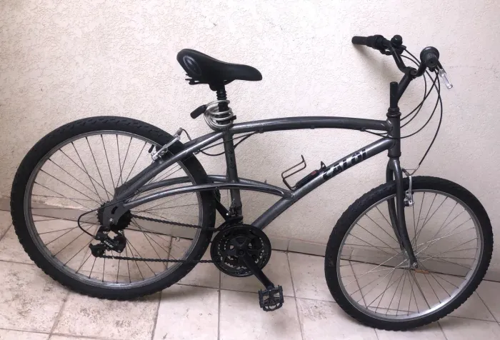Bike Caloi 100