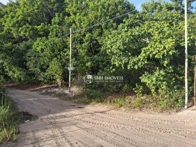 Terreno à venda, 484 m² por R$ 350.000,00 - Taipu de Fora - Maraú/BA