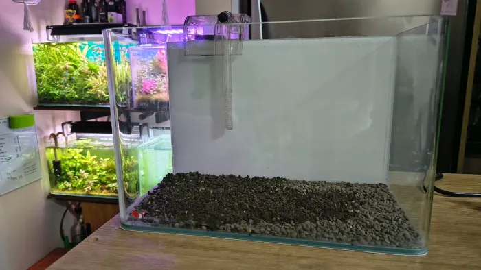 Aquário 11L - Ideal para bettas ou camarões