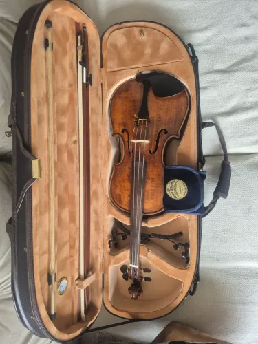 Violino 