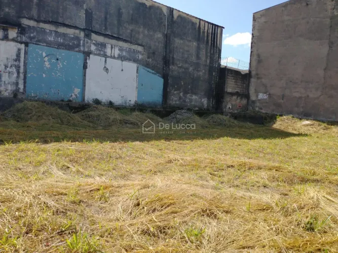 terreno - Jardim Nova Europa - Campinas