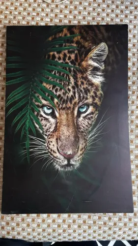 Quadros Felinos Decoração