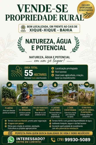 VENDE-SE PROPRIEDADE RURAL DE 55 HECTARES AS MARGENS DO RIO SÃO FRANCISCO