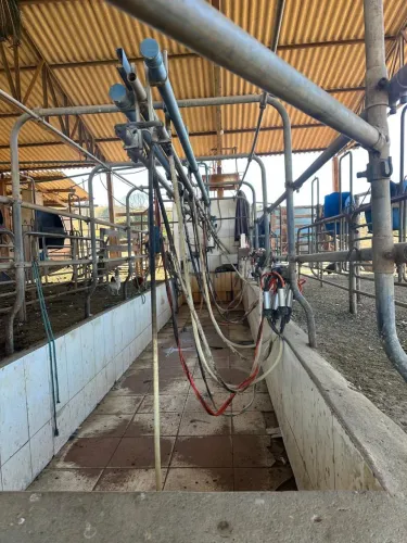 Ordenha delaval
