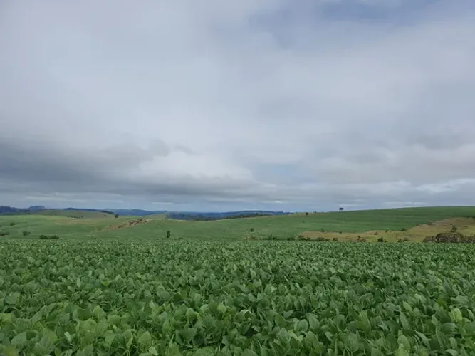 Fazenda de 70 mil o alqueiro