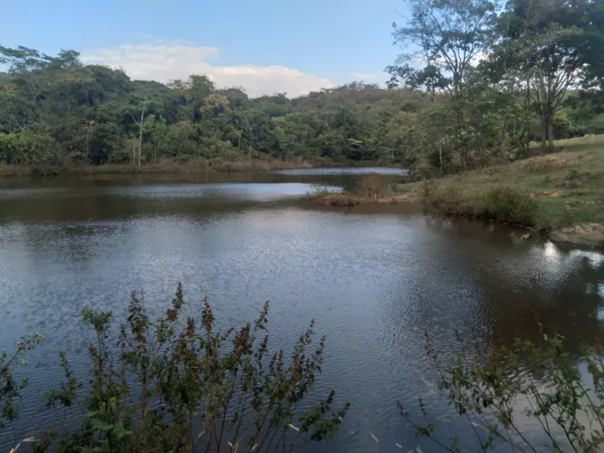 Venda de fazenda maravilhosa grandiosa.