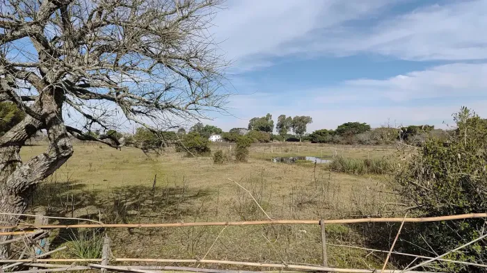 Imóvel para venda possui 11575 metros quadrados em São Gonçalo - Pelotas - RS