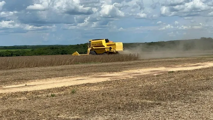 Fazenda arrendamento 850 hec em Nobres MT.