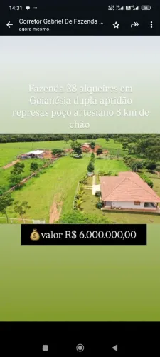 Fazenda com dupla aptidão, 28 alqueires em Goianésia GO. 6 milhoes