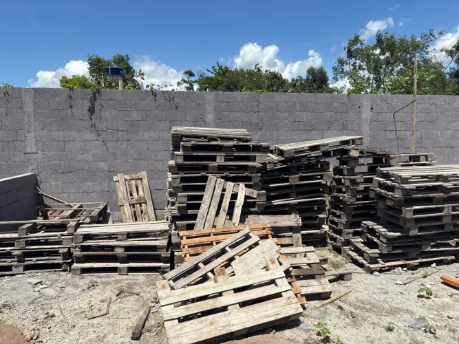  paletes 10 reais a unidade