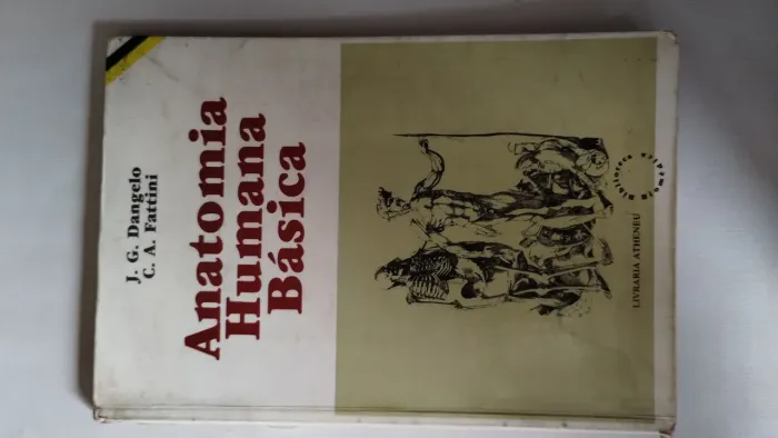 Anatomia humana básica Dangelo & Fattini.