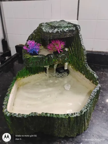 Fonte cascata terrário ( Natureza ) 