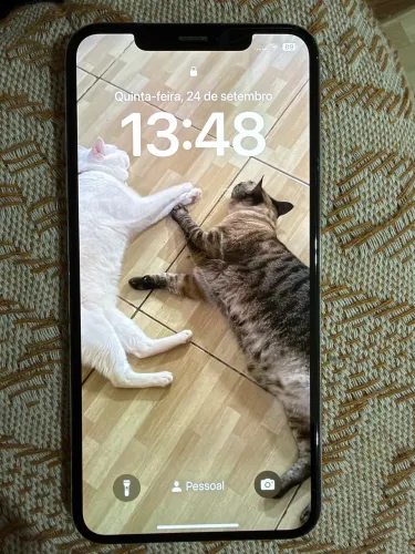 Celular IPhone XS Max 64 gb