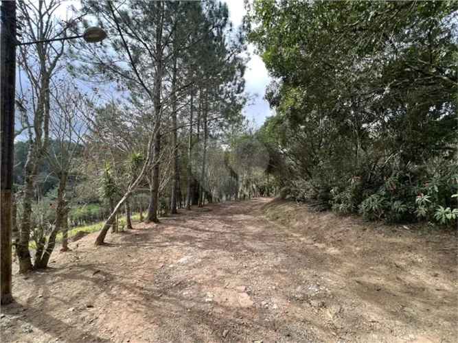 Área de Terra à venda em Taboleiro Verde - SP
