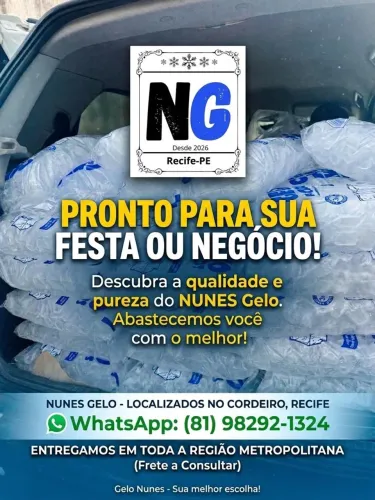 Gelo cubo 3kg