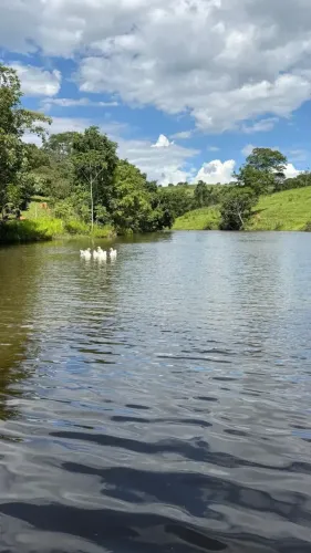 Vendo chácara em São Miguel do Passa quatro - Goiás!!!