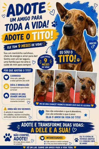 Doando cachorrinhos